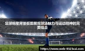 21 点算牌：负数真数下继续下注的隐性成本。（二十一点算牌：当真数为负仍继续下注的隐形代价）