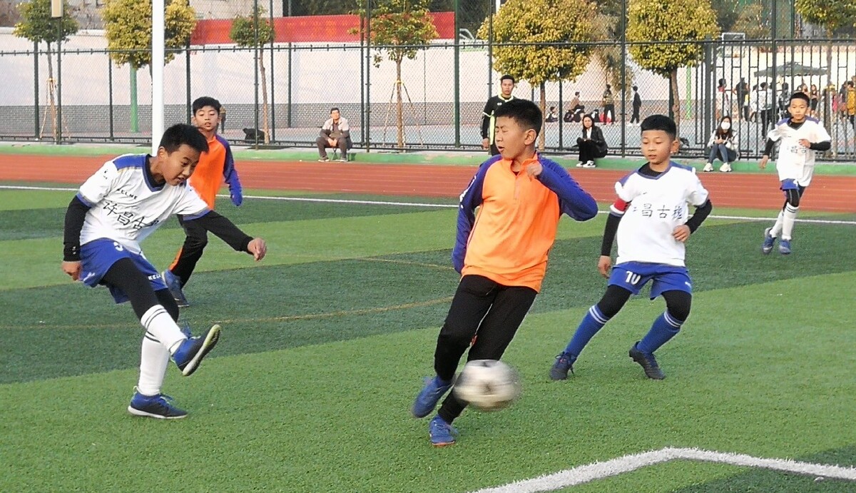 将这些原则 将这些原则